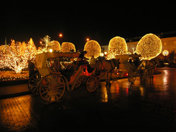 Addobbi Natalizi New York.Gli Addobbi Il Fascino E La Magia Del Natale